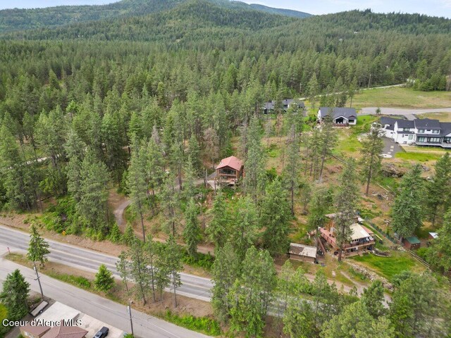 11590 W Riverview Dr, Coeur Dalene, ID 83814 - photo 47