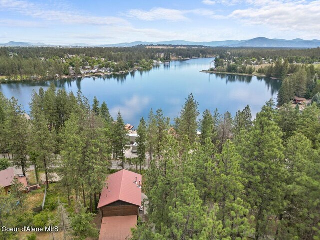 11590 W Riverview Dr, Coeur Dalene, ID 83814 - photo 44