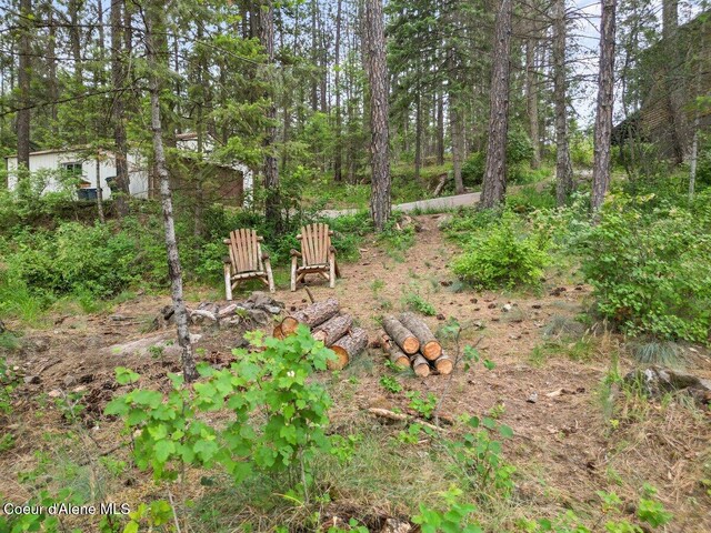 11590 W Riverview Dr, Coeur Dalene, ID 83814 - photo 41
