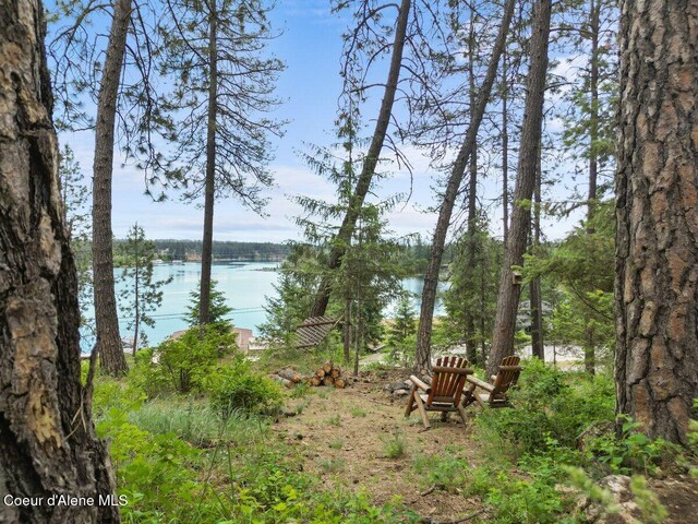 11590 W Riverview Dr, Coeur Dalene, ID 83814 - photo 42