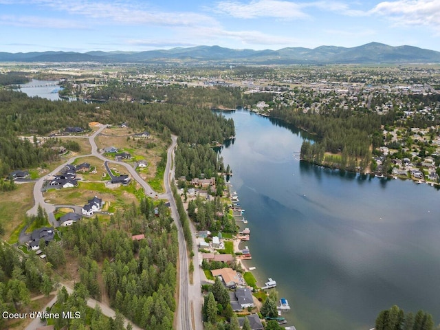 11590 W Riverview Dr, Coeur Dalene, ID 83814 - photo 48