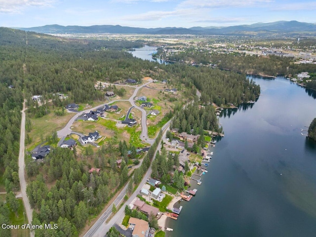 11590 W Riverview Dr, Coeur Dalene, ID 83814 - photo 49