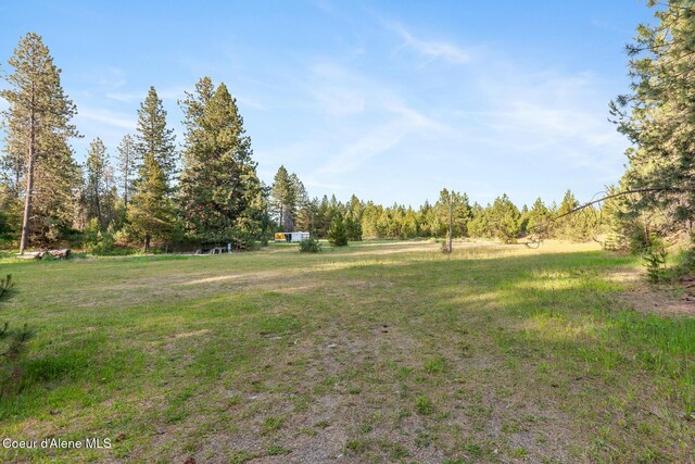 15248 N Atlas Rd, Rathdrum, ID 83858 - view of yard