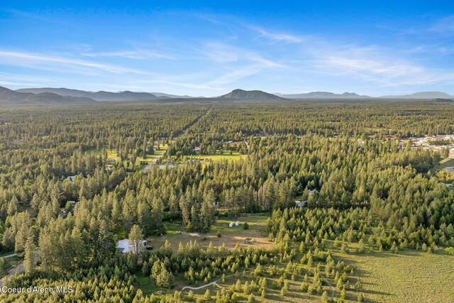 15248 N Atlas Rd, Rathdrum, ID 83858 - view of mountain backdrop with a forest