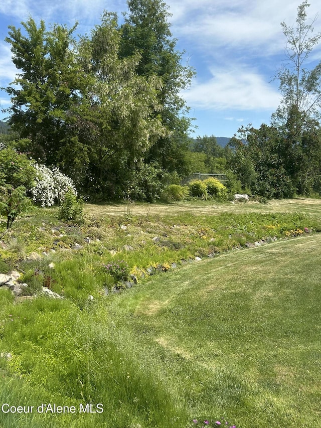 344 N 20th St, Saint Maries, ID 83861 - view of yard