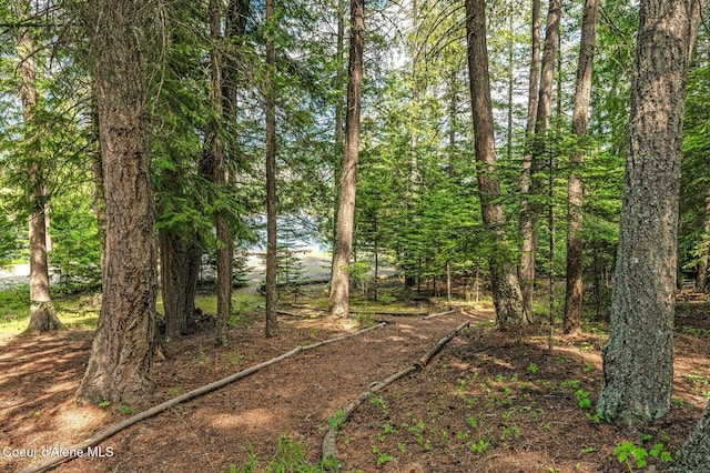 451 Westwood Heights Rd, Sagle, ID 83860 - photo 46