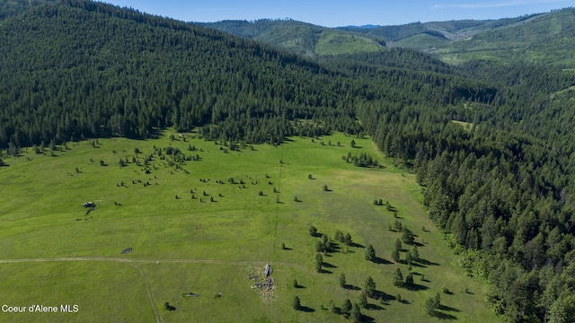 000 Bill Morris Rd, Plummer, ID 83851