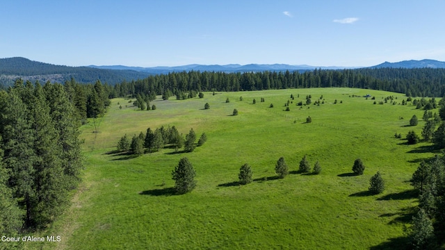 000 Bill Morris Rd, Plummer, ID 83851