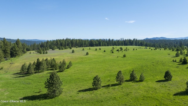000 Bill Morris Rd, Plummer, ID 83851