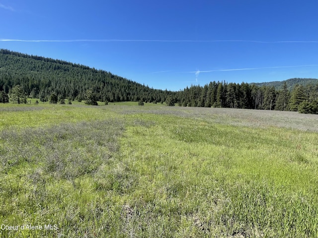 000 Bill Morris Rd, Plummer, ID 83851