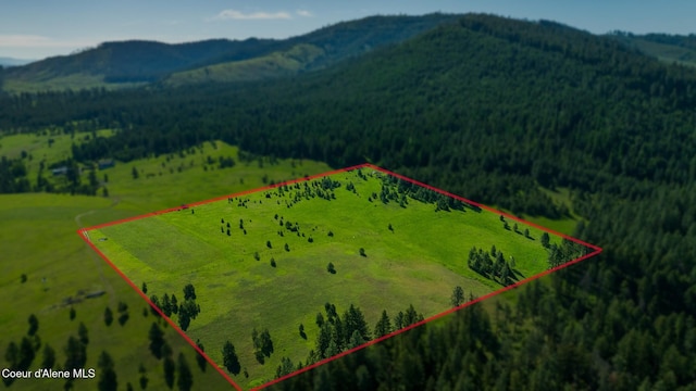 000 Bill Morris Rd, Plummer, ID 83851