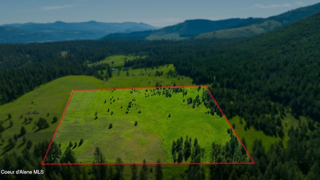 000 Bill Morris Rd, Plummer, ID 83851