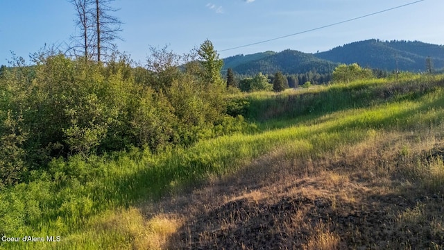 63941 State Highway 3, Fernwood, ID 83830