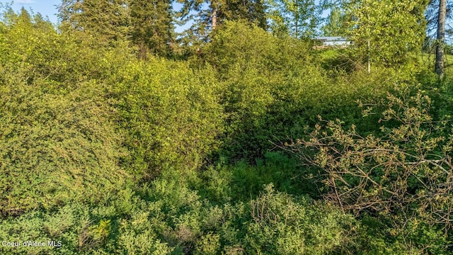 63941 State Highway 3, Fernwood, ID 83830