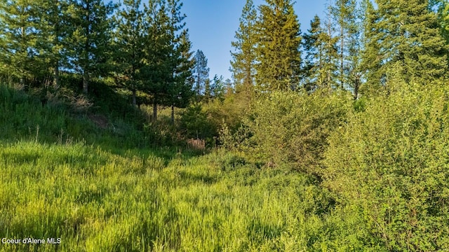 63941 State Highway 3, Fernwood, ID 83830