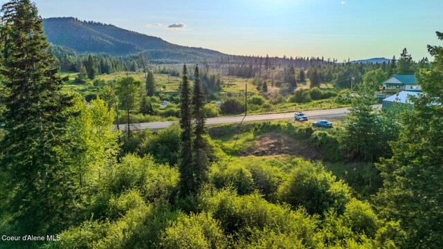 63941 State Highway 3, Fernwood, ID 83830