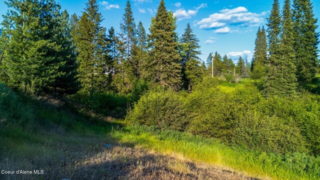 63941 State Highway 3, Fernwood, ID 83830