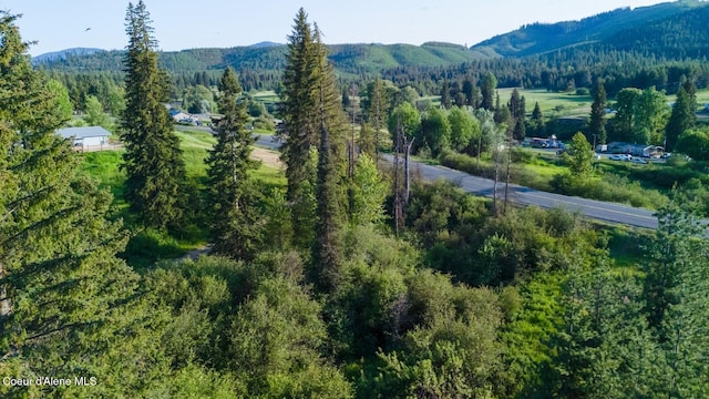 63941 State Highway 3, Fernwood, ID 83830