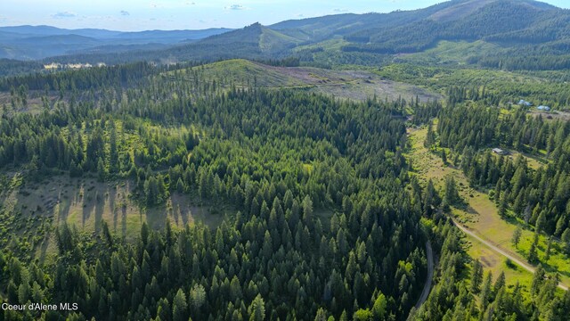NNA Flat Creek Rd, Saint Maries, ID 83861 - photo 1