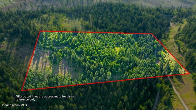 NNA Flat Creek Rd, Saint Maries, ID 83861 - photo 3