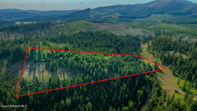 NNA Flat Creek Rd, Saint Maries, ID 83861 - photo 4