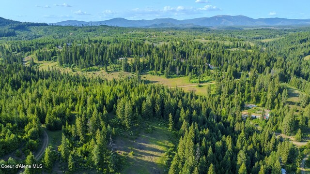 NNA Flat Creek Rd, Saint Maries, ID 83861 - photo 7