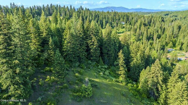 NNA Flat Creek Rd, Saint Maries, ID 83861 - photo 8