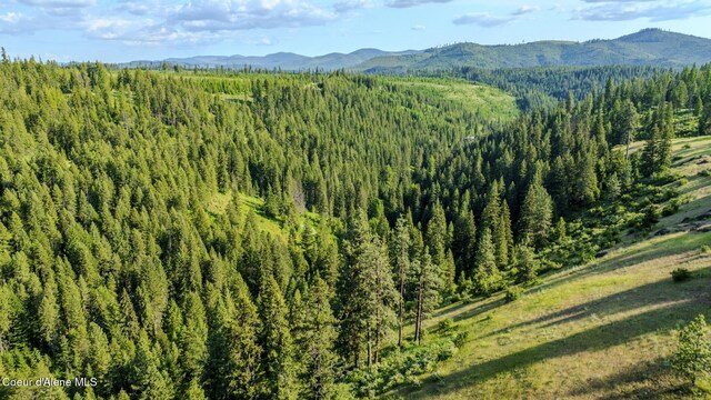 NNA Flat Creek Rd, Saint Maries, ID 83861 - photo 9