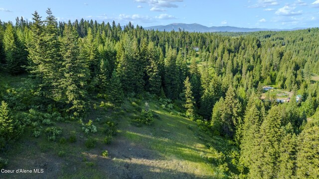 NNA Flat Creek Rd, Saint Maries, ID 83861 - photo 10