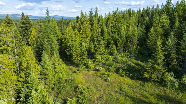 NNA Flat Creek Rd, Saint Maries, ID 83861 - photo 12