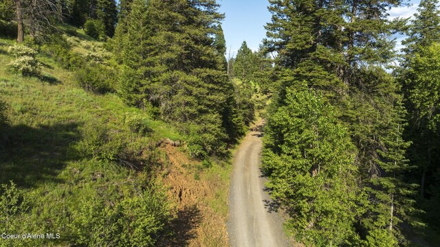NNA Flat Creek Rd, Saint Maries, ID 83861 - photo 2