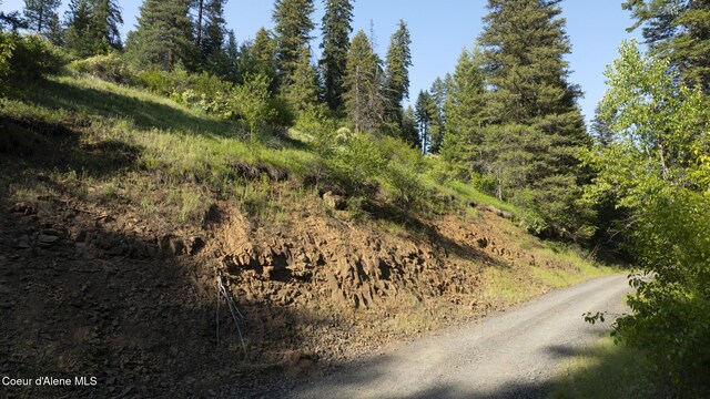 NNA Flat Creek Rd, Saint Maries, ID 83861 - photo 13
