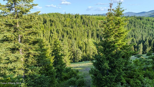 NNA Flat Creek Rd, Saint Maries, ID 83861 - photo 14
