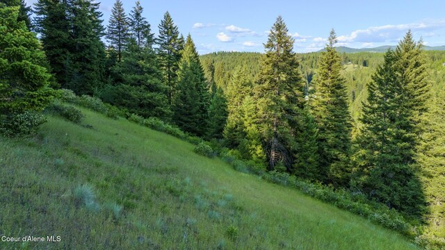 NNA Flat Creek Rd, Saint Maries, ID 83861 - photo 15