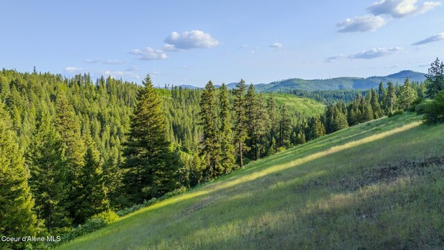 NNA Flat Creek Rd, Saint Maries, ID 83861 - photo 16