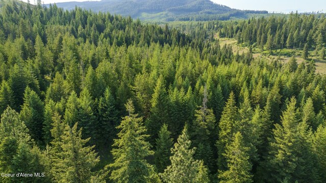 NNA Flat Creek Rd, Saint Maries, ID 83861 - photo 17
