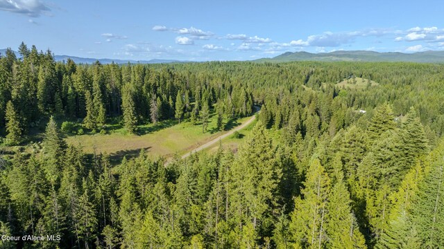 NNA Flat Creek Rd, Saint Maries, ID 83861 - photo 18