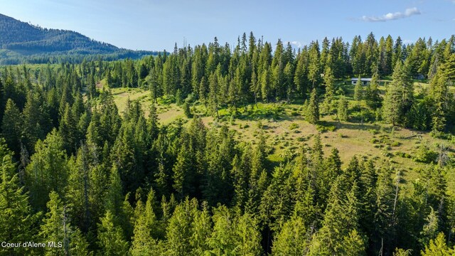 NNA Flat Creek Rd, Saint Maries, ID 83861 - photo 19