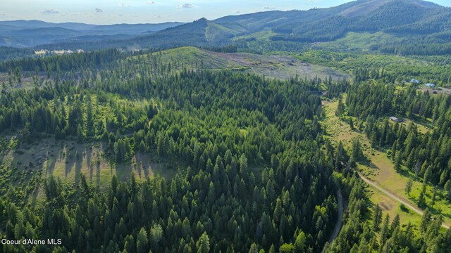 NNA Flat Creek Rd, Saint Maries, ID 83861 - photo 20
