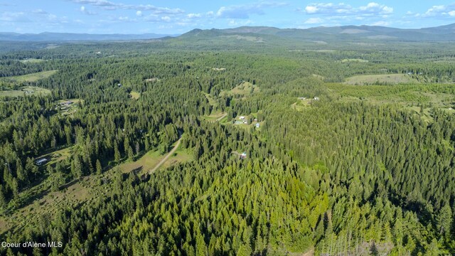 NNA Flat Creek Rd, Saint Maries, ID 83861 - photo 21