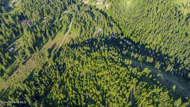 NNA Flat Creek Rd, Saint Maries, ID 83861 - photo 22