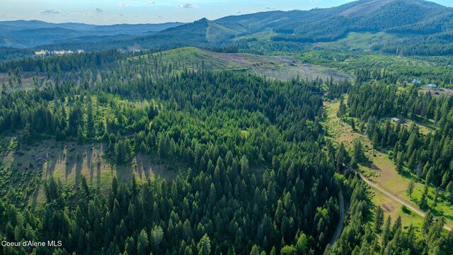 NNA Flat Creek Rd, Saint Maries, ID 83861 - photo 25