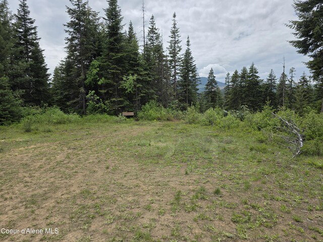 125 Cottage Ln, Saint Maries, ID 83861 - photo 1