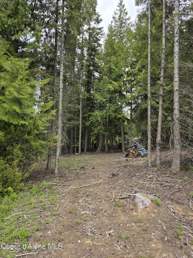 125 Cottage Ln, Saint Maries, ID 83861 - photo 8