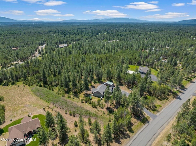 23378 N Prominence Rd, Rathdrum, ID 83858 - aerial view of property's location featuring a mountain backdrop
