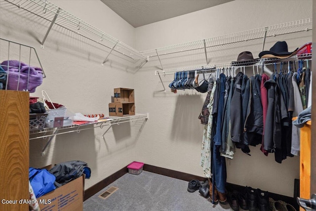 23378 N Prominence Rd, Rathdrum, ID 83858 - walk in closet with carpet floors