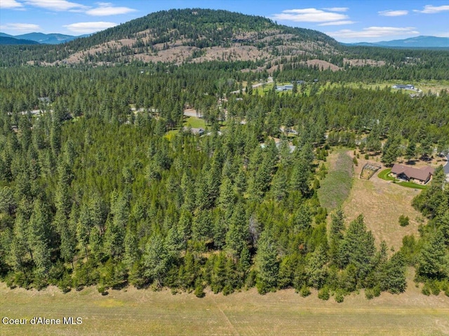 23378 N Prominence Rd, Rathdrum, ID 83858 - view of property location with a forest and mountains