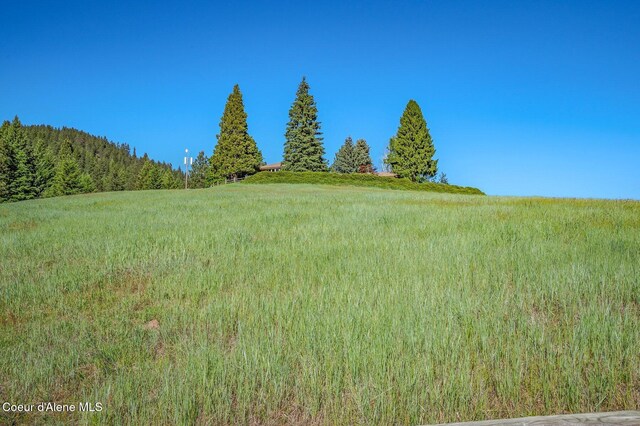 16529 N Triangle 7 Rd, Hayden, ID 83835 - view of wooded area