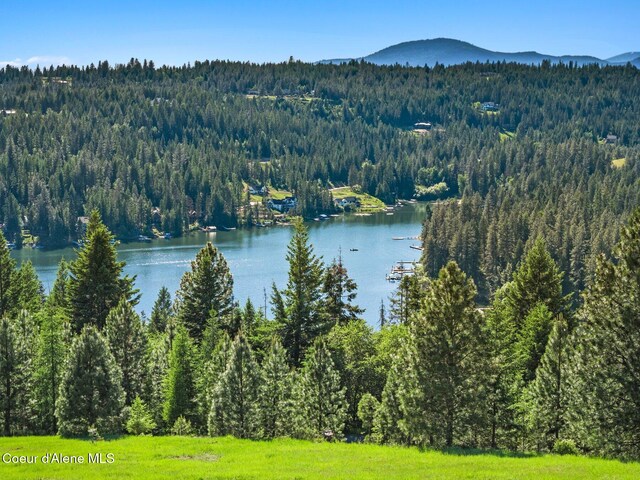 16529 N Triangle 7 Rd, Hayden, ID 83835 - water view with a heavily wooded area and a mountainous background