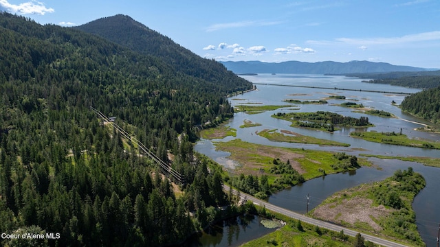 238 Black Sheep Rd, Hope, ID 83836